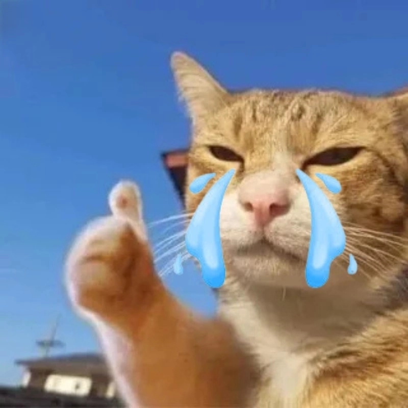 Chia sẻ nhanh con mèo khóc meme để troll bạn bè cực vui