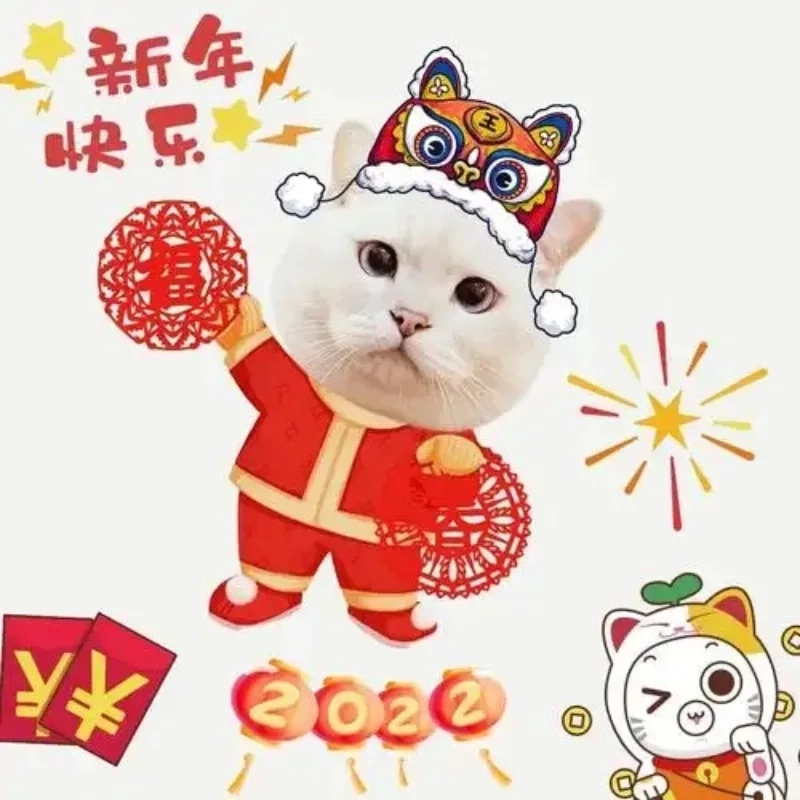 Nổi bật trên mạng xã hội bằng avatar meme mèo tết