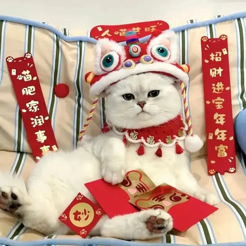 Rộn ràng Tết đến cùng avatar con mèo tết meme