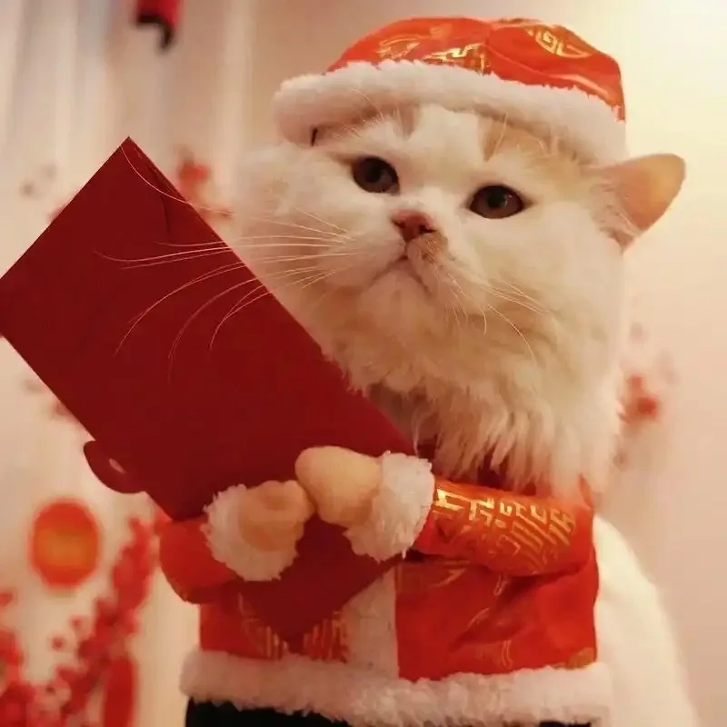 Thay đổi diện mạo Facebook bằng avatar meme tết mèo