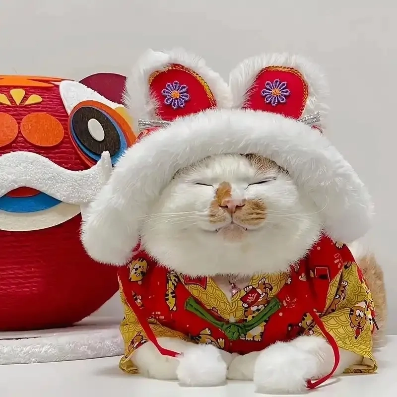 Trọn bộ siêu hot avatar avatar mèo tết meme