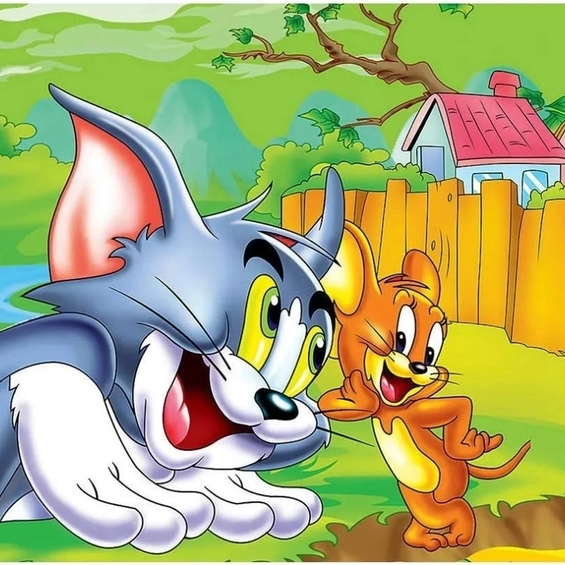 Bộ sưu tập hình mèo tom meme độc lạ cực chất