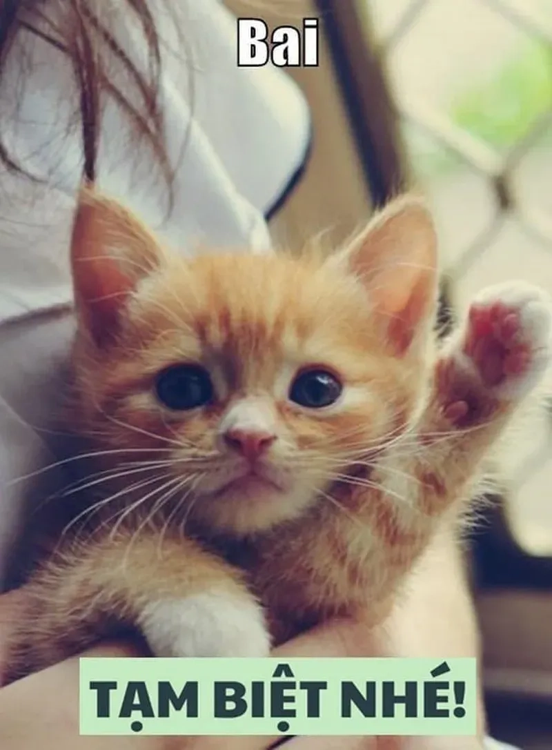 Cập nhật nhanh ảnh tạm biệt cute dễ thương nhất cho bạn bè