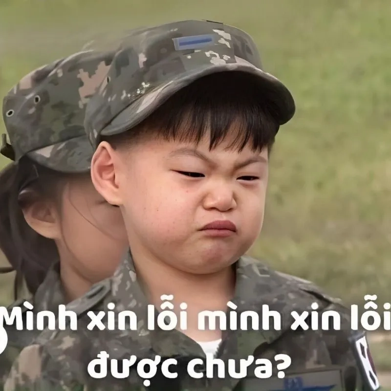 Không cần lời dài, chỉ cần ảnh meme xin lỗi là đủ