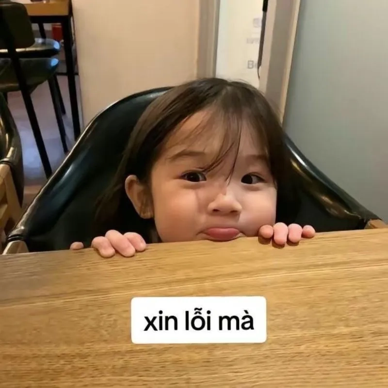Muốn nói xin lỗi nhưng vẫn hài hước meme xin lỗi hài