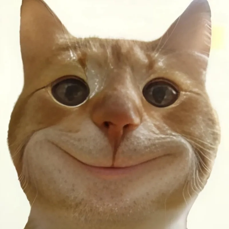 Top trend hình ảnh meme mèo vô tri được săn lùng nhiều nhất