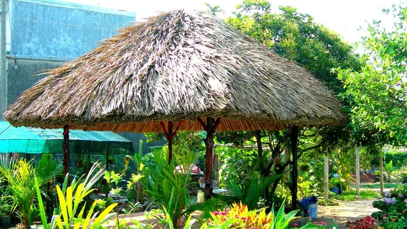 Giới thiệu đôi nét về nhà chòi Cà Mau