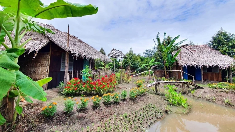 Trở về tuổi thơ cùng nhà lá miền tây ngày xưa đầy kỷ niệm