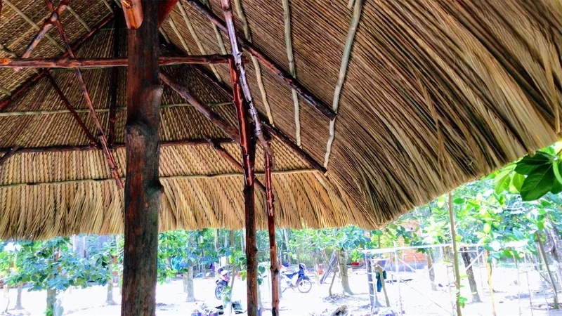 Vẻ đẹp thi vị qua Đồng Tháp thơ Dos