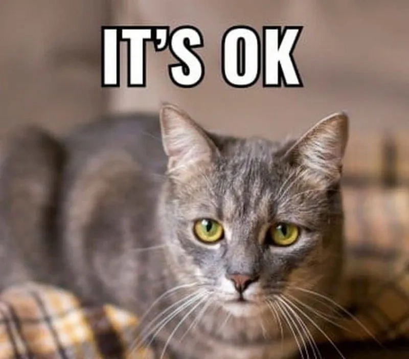 Ok meme là gì?