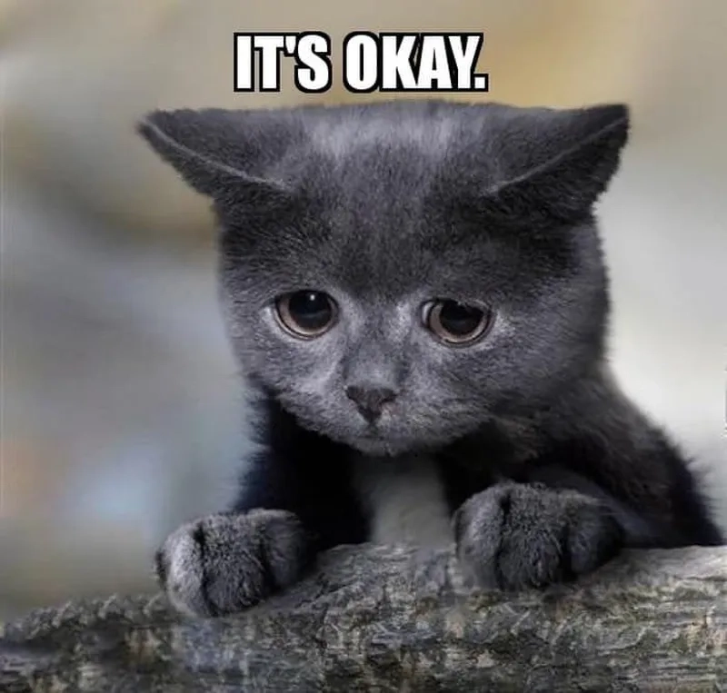 Chọn ngay ok meme để thêm niềm vui cho ngày dài