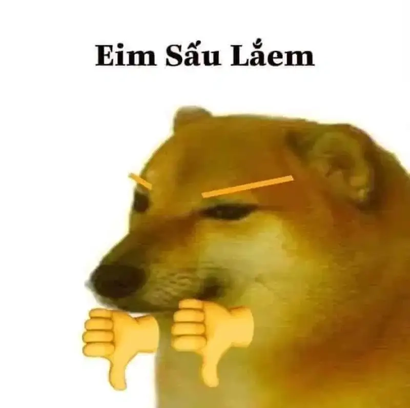 Khám phá thế giới meme shiba inu khiến bạn cười rớt ghế