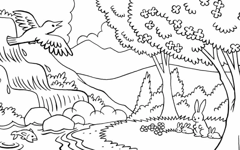 Bé có thể sáng tạo với tranh tô màu cây xanh trong tranh tô màu các loại cây xanh