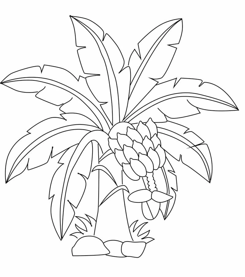 Bộ sưu tập tranh tô màu cây xanh độc đáo cho cây xanh tô màu dễ dàng