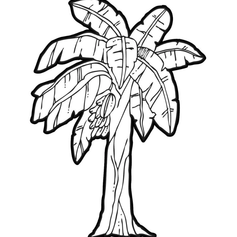 Tranh tô màu cây xanh là như thế nào