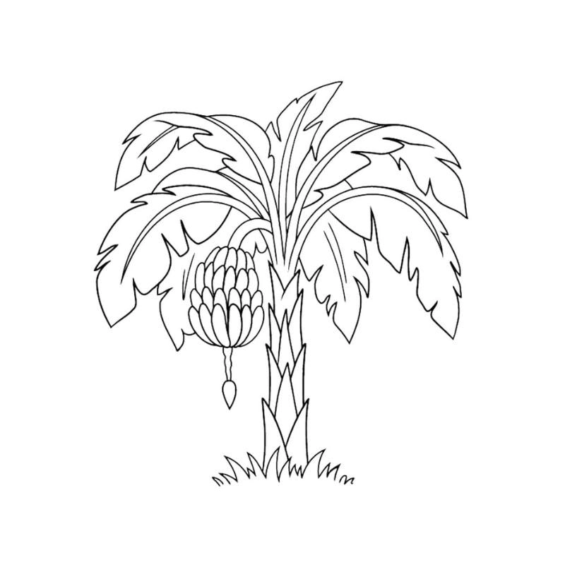 Trọn bộ tranh tô màu cây xanh đẹp mắt chứa nhiều hình ảnh tô màu cây xanh