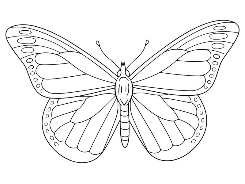 Bé thỏa sức sáng tạo với tranh tô màu con bướm đầy màu sắc