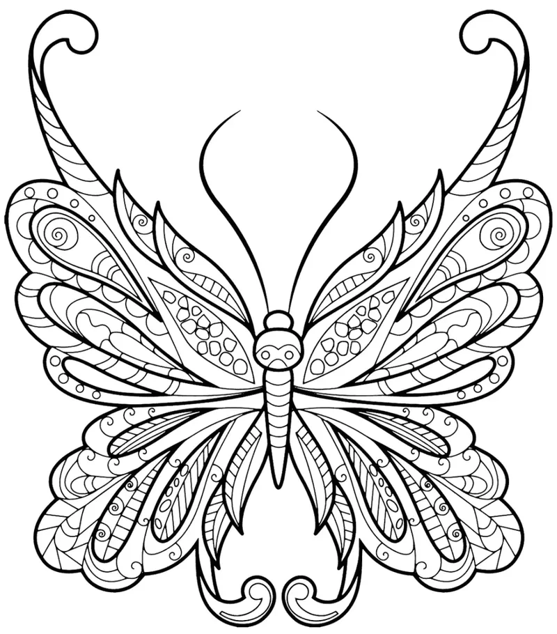 Rực rỡ thiên nhiên qua tranh tô màu con bướm hoa đẹp mắt