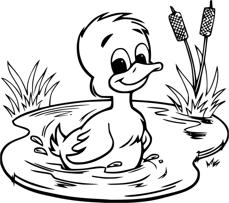 Bé nào cũng mê mẩn với bộ sưu tập tranh tô màu vịt