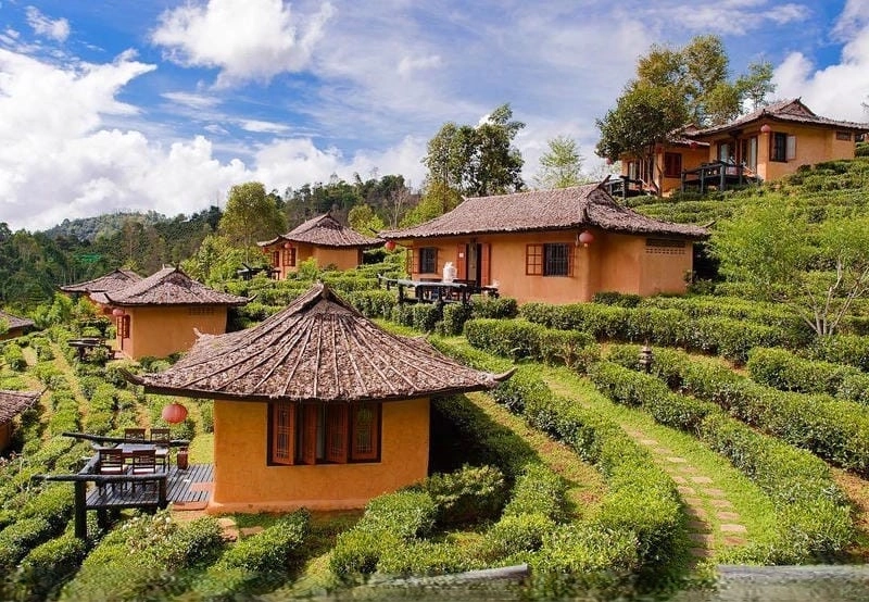 Lạc bước giữa sương mù villa Pleiku huyền ảo