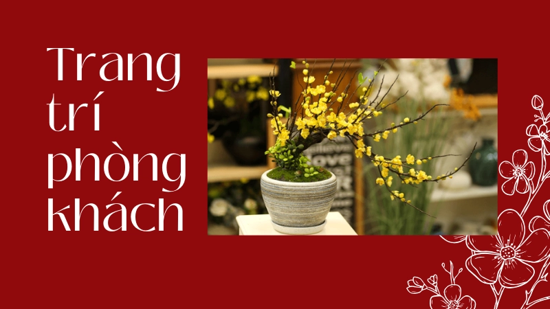  Cách trang trí phòng khách ngày tết với hoa mai vàng