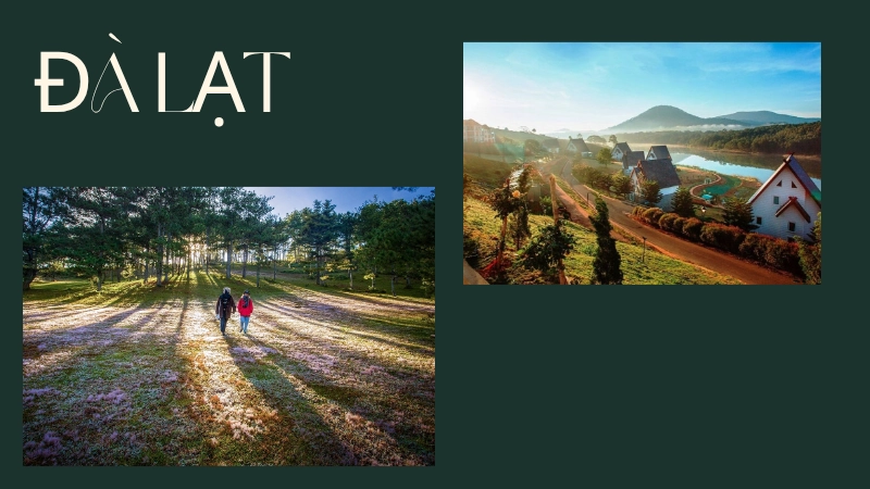 Chạm nhẹ vào sương Đà Lạt, thấy lòng bình yên.