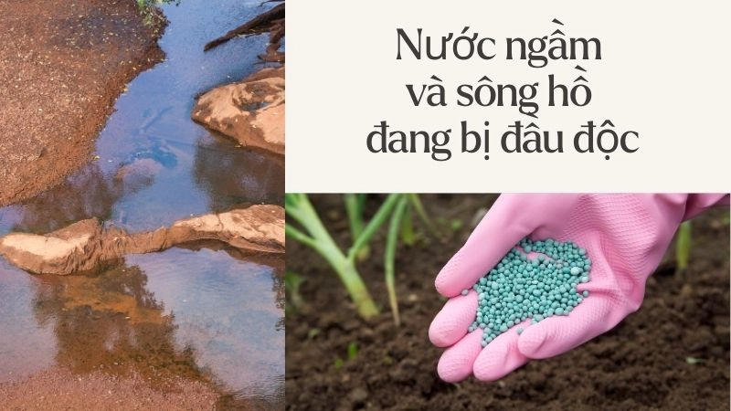 Nước ngầm và sông hồ đang bị đầu độc từng ngày