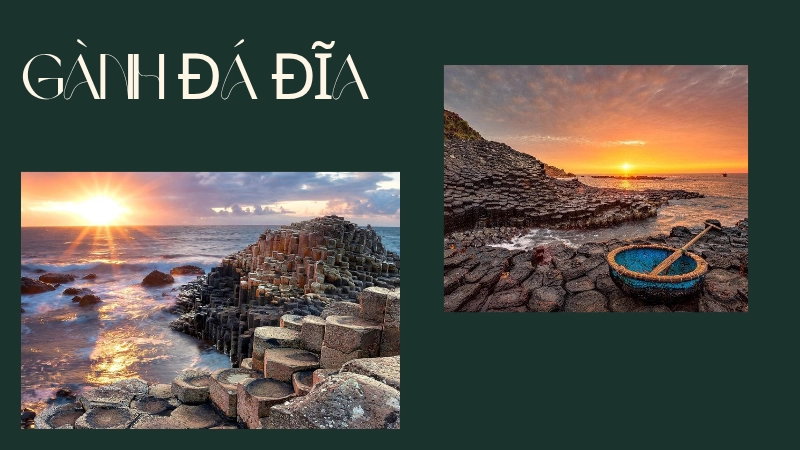 Khám phá vẻ đẹp kỳ thú của Gành Đá Đĩa giữa biển xanh.