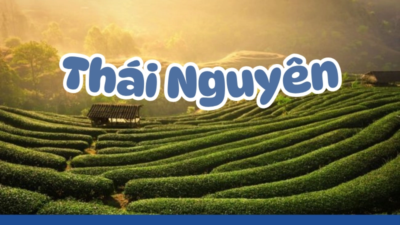 Thái Nguyên – vẻ đẹp xanh mướt giữa núi rừng.