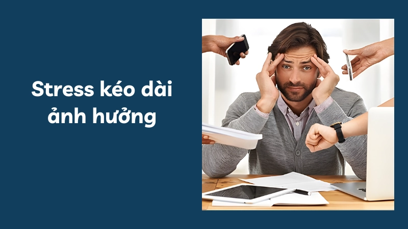 Tác hại của stress kéo dài lên hệ thần kinh và tim mạch