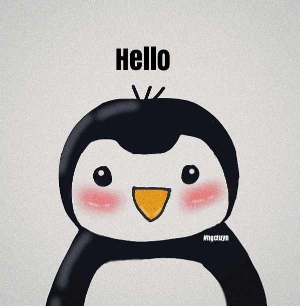 Meme chim vui nhộn mang lại năng lượng tích cực