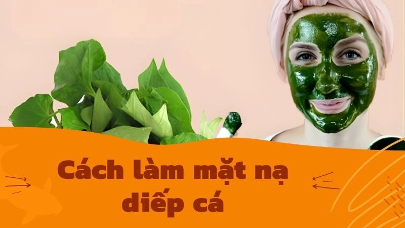 Tại sao diếp cá là 