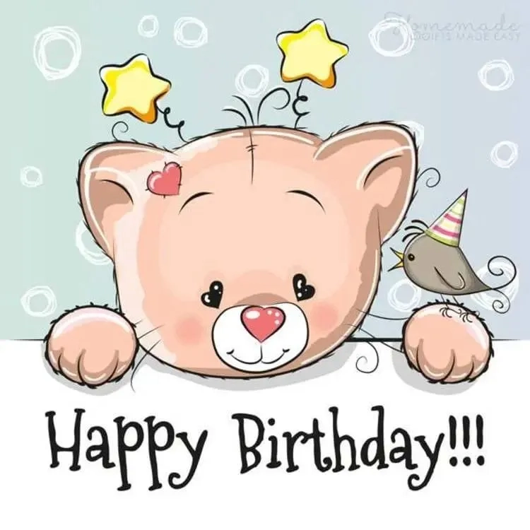 Happy birthday meme funny hài hước đáng yêu