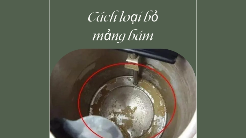 Bí quyết đánh bay mảng bám cứng đầu