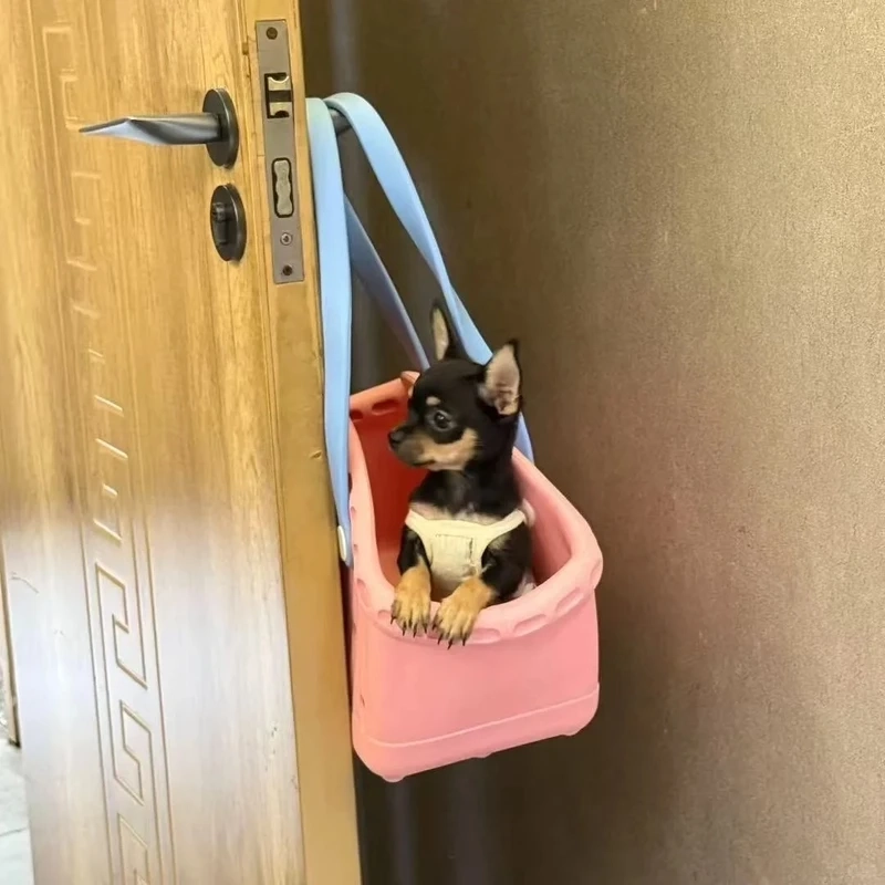 Khám phá annoyed chihuahua meme với gương mặt khó chịu cực hài