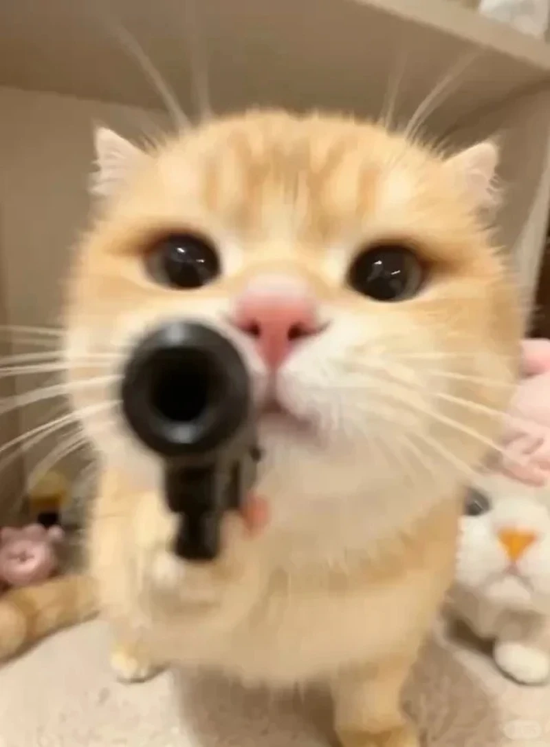 Tuyển chọn meme cầm súng hài đang hot trên mạng xã hội