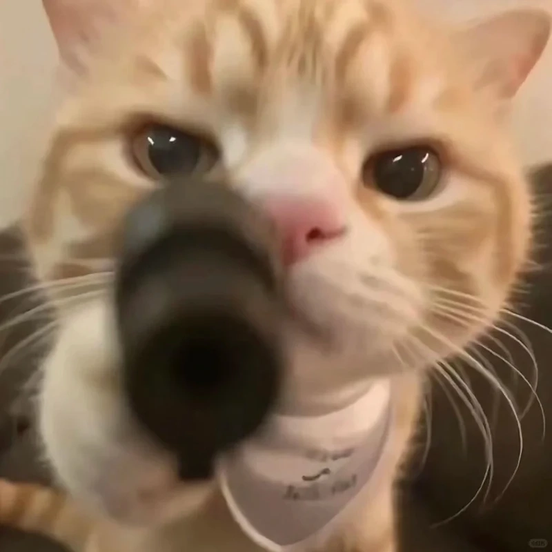 Loạt hình meme cầm súng chế sáng tạo khiến ai cũng bật cười