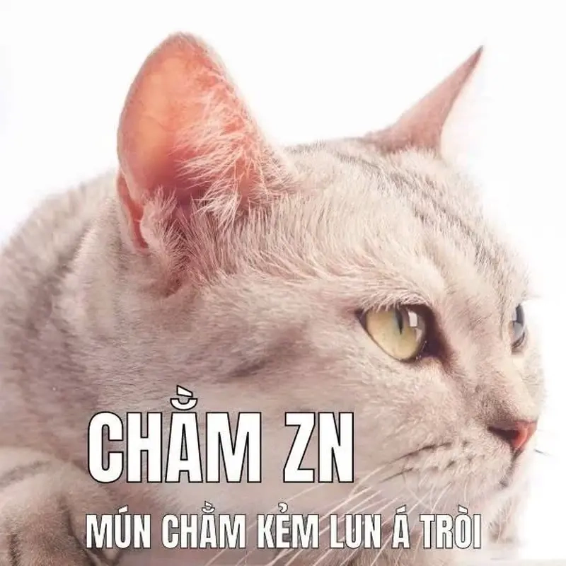 Cảm giác mệt mỏi dù ngủ cả ngày meme trầm cảm
